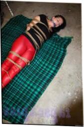 Clothed Female Lays On A Blanket All Tied Up With Ropes And Ball Ball-gagged Fapsexpicscom 683x1024