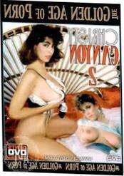 Golden Age Of Porno Christy Canyon 500x709