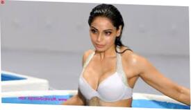 Bipasha Basu Big Hooters Pornography Starlet Photo Gallery 1600x878